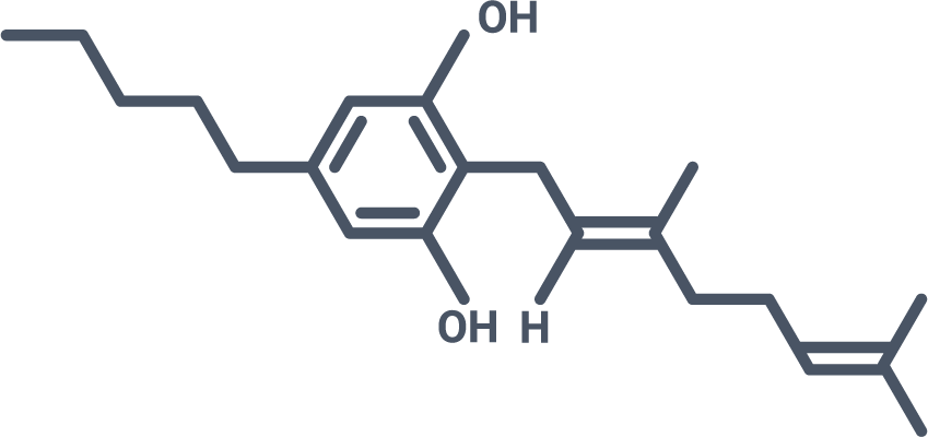 CBG Colour Icon